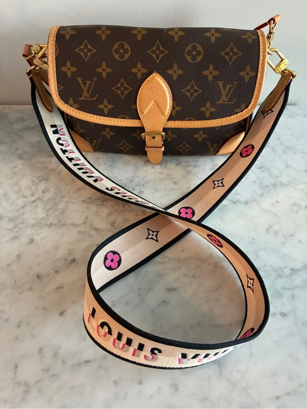 Louis Vuitton detachable louis